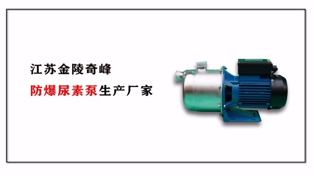防爆<i style='color:red'>尿素泵</i>生產(chǎn)廠家，江蘇金陵奇峰