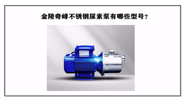 金陵奇峰不銹鋼尿素泵有哪些型號？