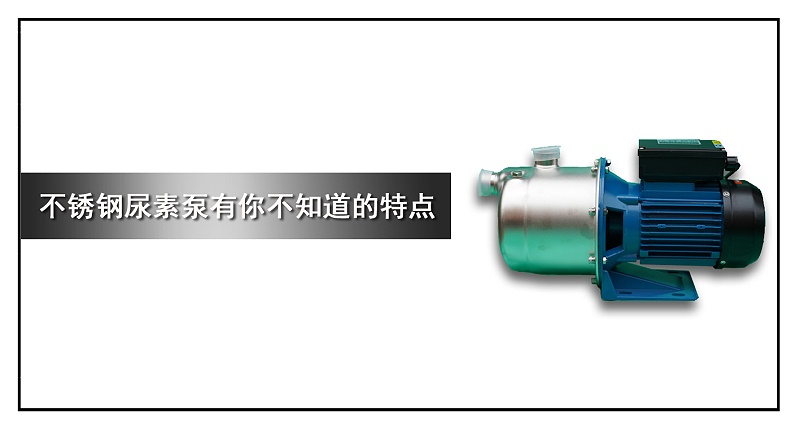 不銹鋼尿素泵有你不知道的特點(diǎn)