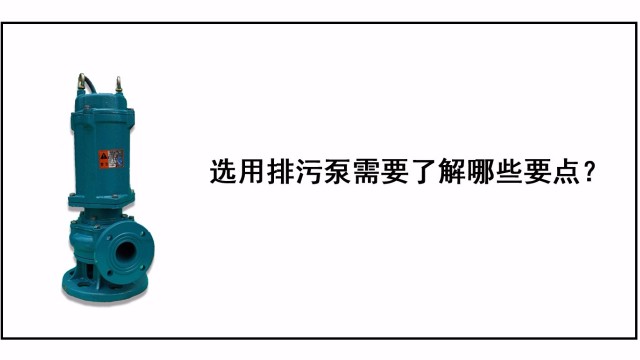 選用排污泵需要了解哪些要點？